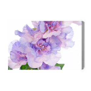Leinwandbild Pfingstrosen In Violetttönen