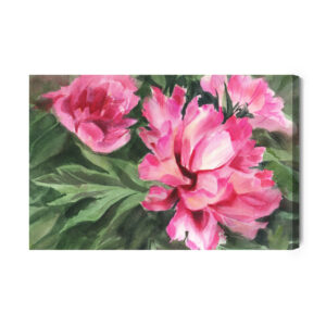 Leinwandbild Pfingstrosen In Blättern