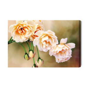 Leinwandbild Mini-Rosen