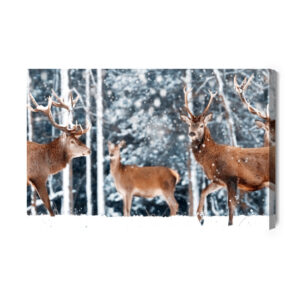 Leinwandbild Eine Herde Hirsche Im Winterwald