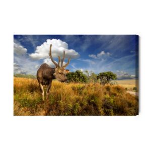 Leinwandbild Rehe Gegen Den Himmel