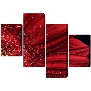 Mehrteiliges Bild Blütenblätter Im Makromaßstab