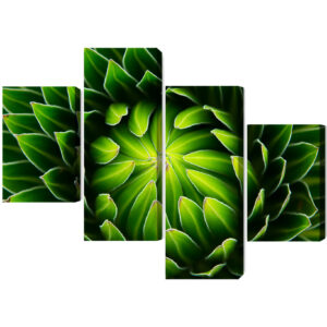 Mehrteiliges Bild Grüne Pflanze Im Makromaßstab
