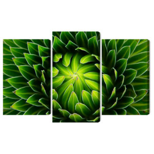 Mehrteiliges Bild Grüne Pflanze Im Makromaßstab