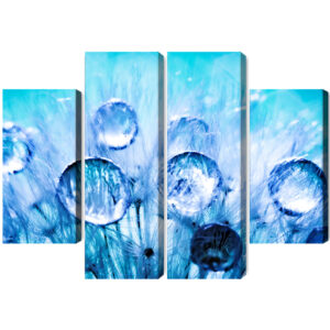 Mehrteiliges Bild Tautropfen Auf Löwenzahnsamen Im Makromaßstab