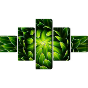 Mehrteiliges Bild Grüne Pflanze Im Makromaßstab