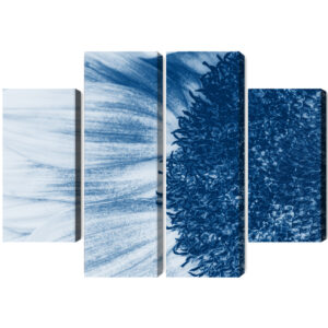 Mehrteiliges Bild Blaue Sonnenblume Im Makromaßstab