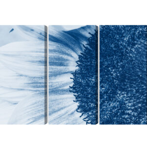 Mehrteiliges Bild Blaue Sonnenblume Im Makromaßstab