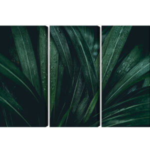 Mehrteiliges Bild Dunkelgrüne Blätter Im Makromaßstab