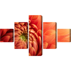 Mehrteiliges Bild Orangefarbene Chrysantheme Im Makromaßstab