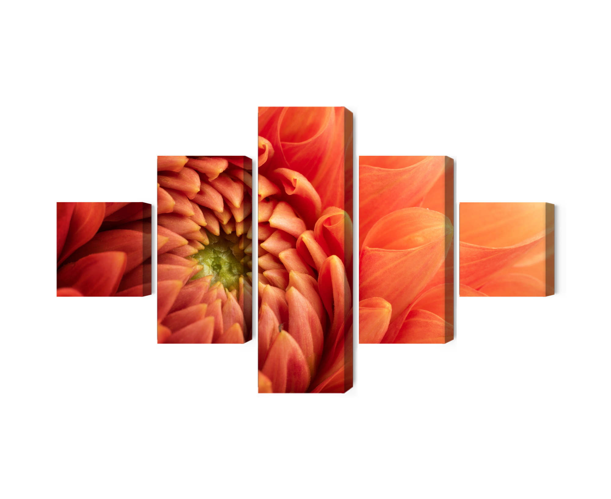 Mehrteiliges Bild Orangefarbene Chrysantheme Im Makromaßstab