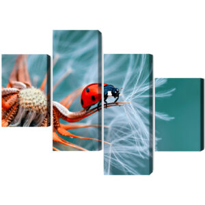 Mehrteiliges Bild Marienkäfer Auf Einem Löwenzahn Im Makromaßstab