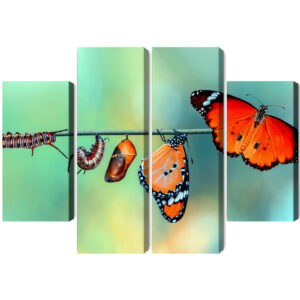Mehrteiliges Bild Bunte Raupen Und Schmetterlinge Im Makromaßstab