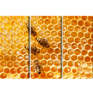 Mehrteiliges Bild Bienen Auf Der Wabe