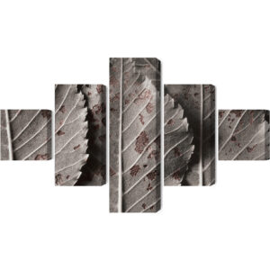 Mehrteiliges Bild Graue Blätter Im Makromaßstab