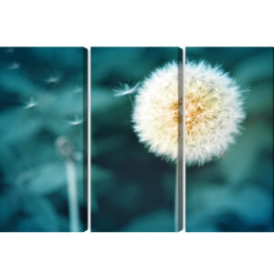 Mehrteiliges Bild Löwenzahnblume Nahaufnahme 3D