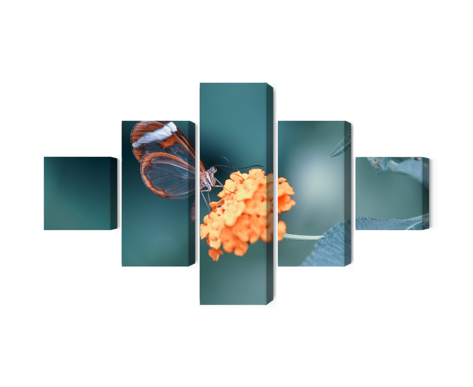 Mehrteiliges Bild Schmetterling Im Sommergarten