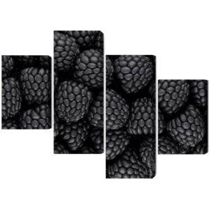 Mehrteiliges Bild Brombeeren Im Makromaßstab