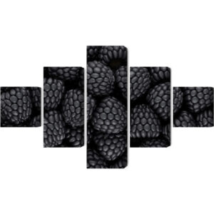 Mehrteiliges Bild Brombeeren Im Makromaßstab