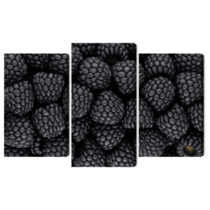 Mehrteiliges Bild Brombeeren Im Makromaßstab