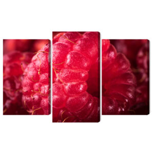 Mehrteiliges Bild Himbeeren Im Makromaßstab