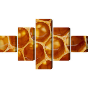 Mehrteiliges Bild Wabe Im Makromaßstab