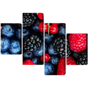 Mehrteiliges Bild Waldfrüchte Im Makromaßstab