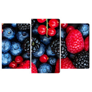 Mehrteiliges Bild Waldfrüchte Im Makromaßstab