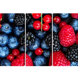 Mehrteiliges Bild Waldfrüchte Im Makromaßstab