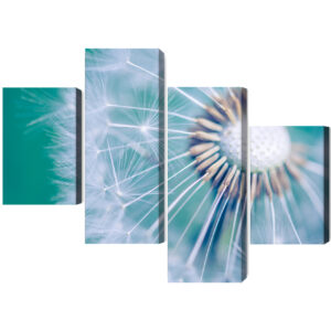 Mehrteiliges Bild Löwenzahn Im Makromaßstab