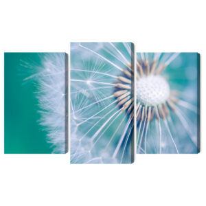 Mehrteiliges Bild Löwenzahn Im Makromaßstab