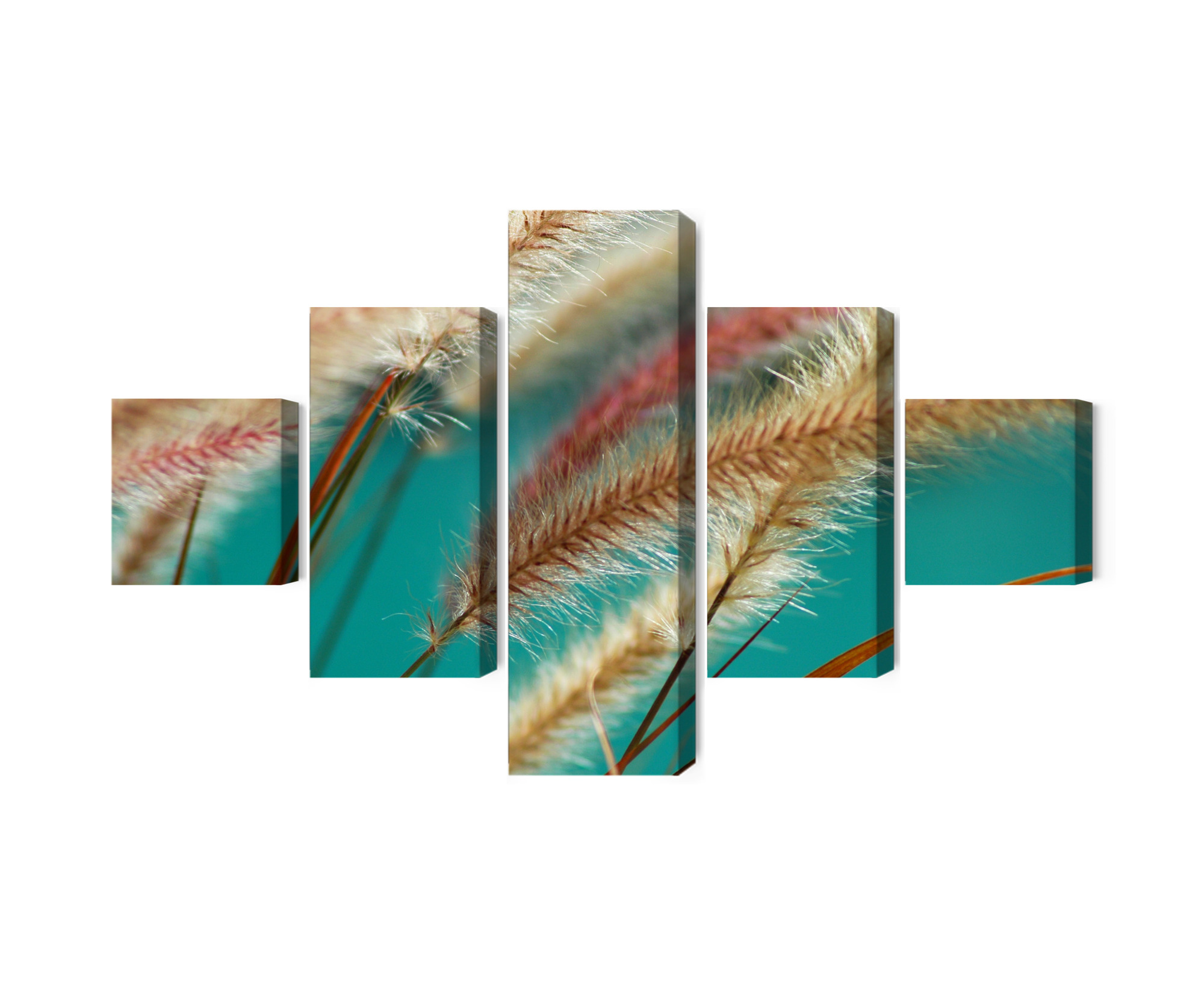 Mehrteiliges Bild Pflanzen Im Makromaßstab