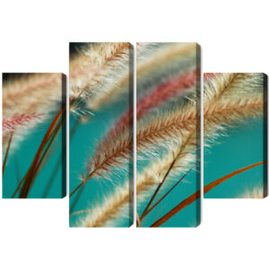 Mehrteiliges Bild Pflanzen Im Makromaßstab