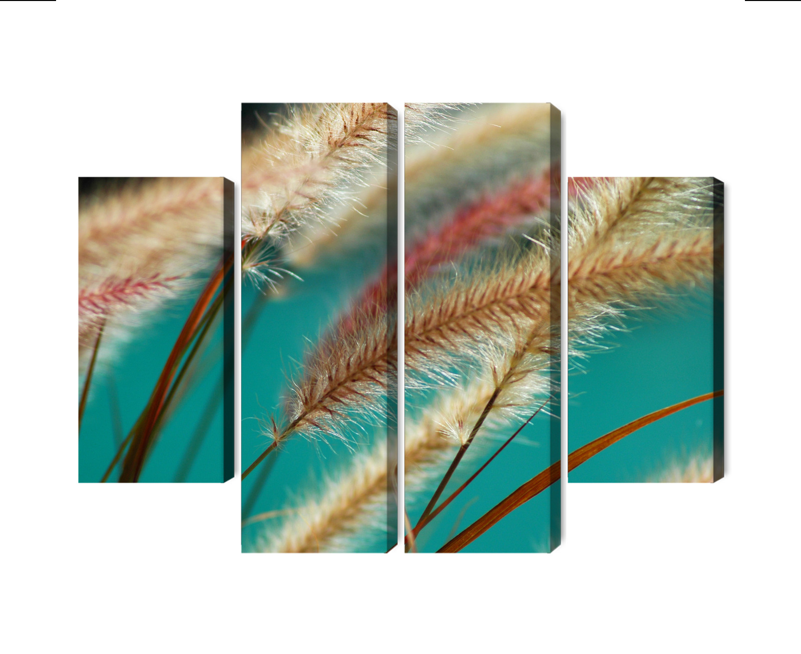 Mehrteiliges Bild Pflanzen Im Makromaßstab