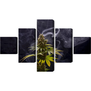 Mehrteiliges Bild Cannabispflanze Auf Rauchigem Hintergrund