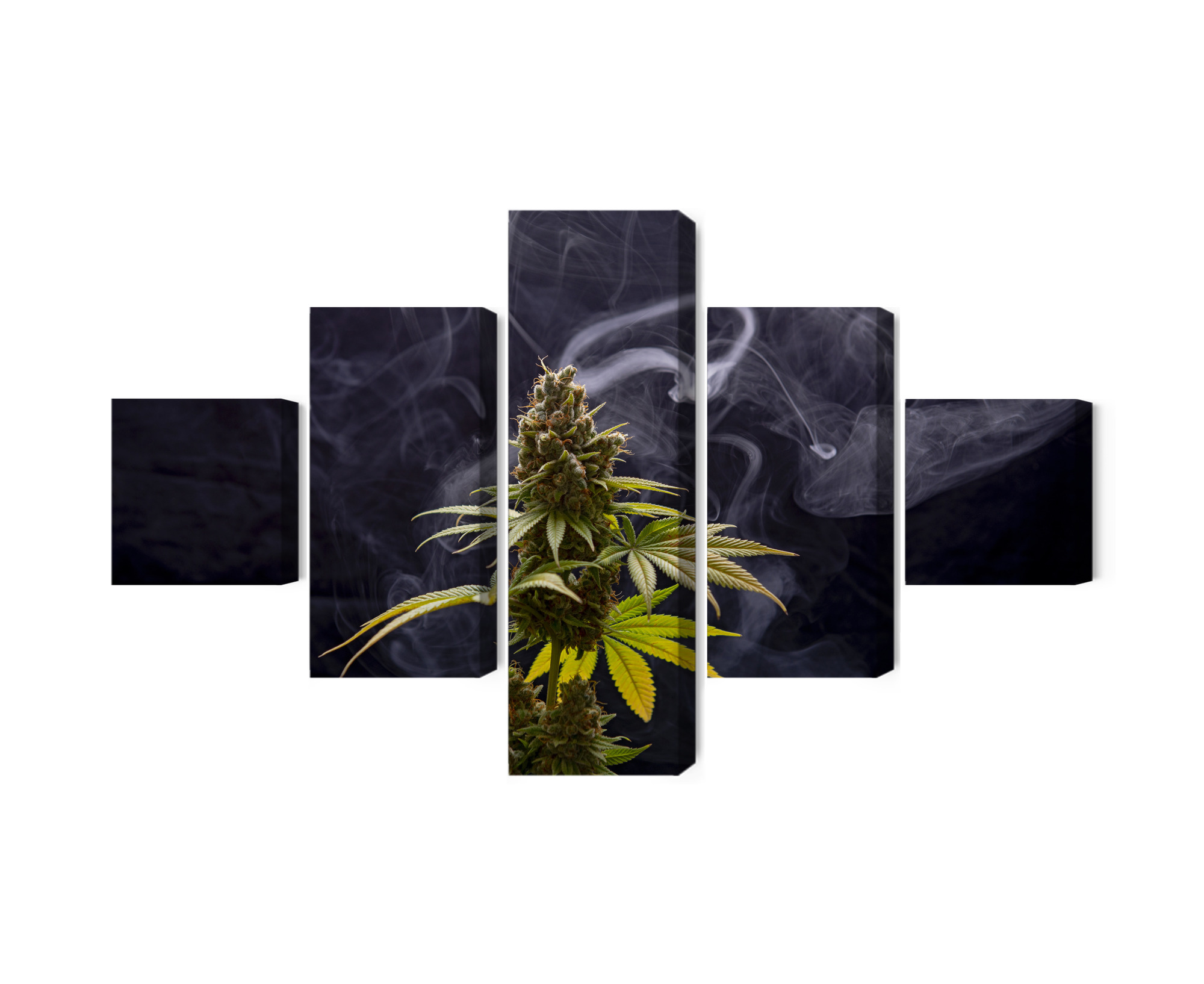 Mehrteiliges Bild Cannabispflanze Auf Rauchigem Hintergrund