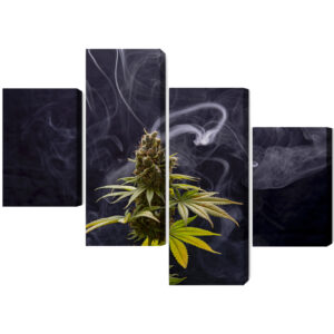 Mehrteiliges Bild Cannabispflanze Auf Rauchigem Hintergrund