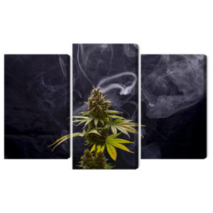 Mehrteiliges Bild Cannabispflanze Auf Rauchigem Hintergrund