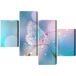 Mehrteiliges Bild Ein Zarter Schmetterling Auf Einem Grashalm Im Makromaßstab