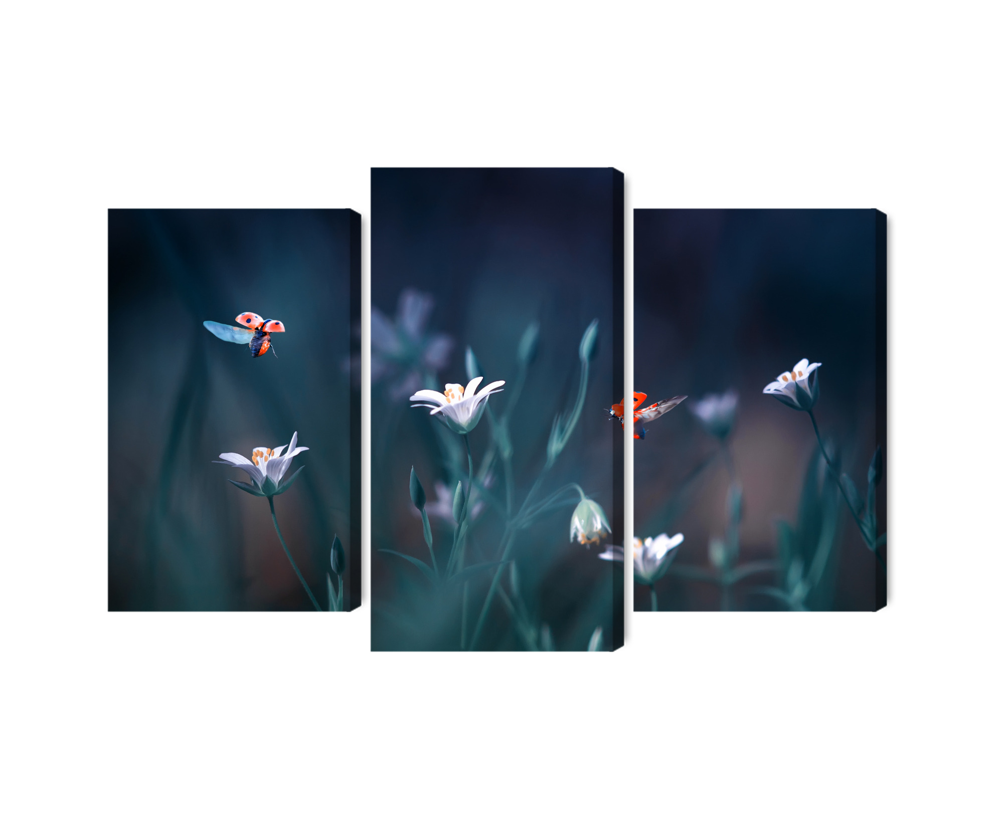 Mehrteiliges Bild Marienkäfer Und Wildblumen Im Makromaßstab