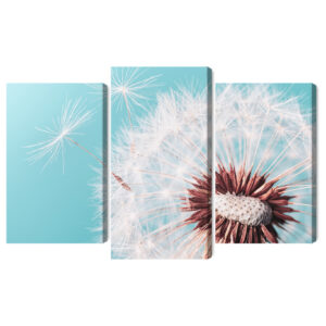 Mehrteiliges Bild Löwenzahnblüte Im Makromaßstab