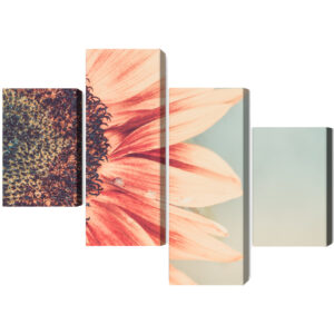 Mehrteiliges Bild Blühende Sonnenblume Im Makromaßstab