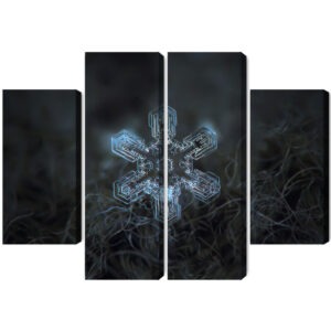 Mehrteiliges Bild Schneeflocke Im 3D-Makromaßstab