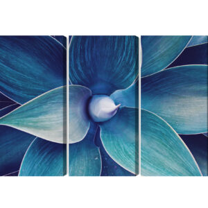 Mehrteiliges Bild Draufsicht Auf Die Anlage Im Makromaßstab