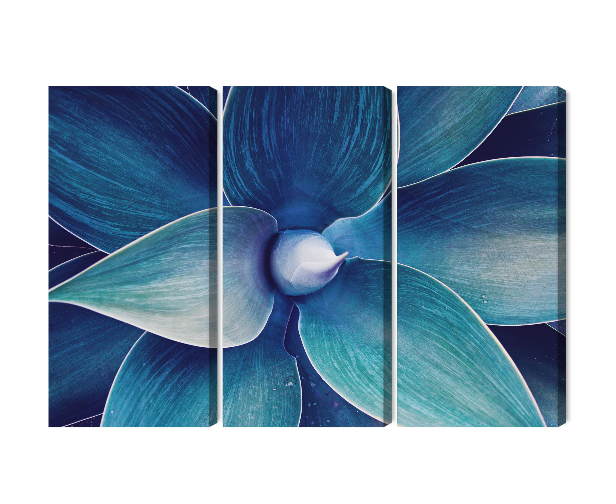 Mehrteiliges Bild Draufsicht Auf Die Anlage Im Makromaßstab