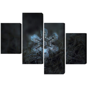 Mehrteiliges Bild Schneeflocke Im 3D-Makromaßstab