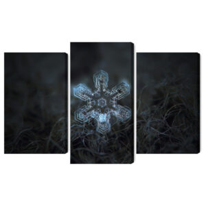 Mehrteiliges Bild Schneeflocke Im 3D-Makromaßstab