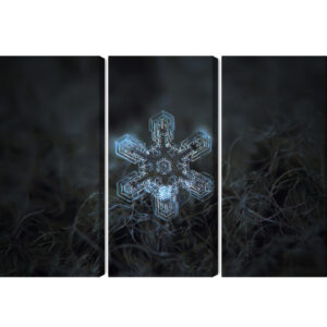 Mehrteiliges Bild Schneeflocke Im 3D-Makromaßstab