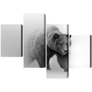 Mehrteiliges Bild Bär Im Nebel 3D