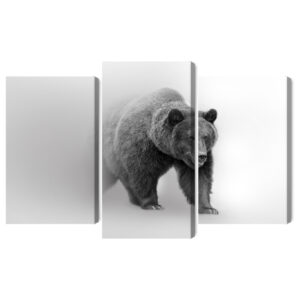 Mehrteiliges Bild Bär Im Nebel 3D